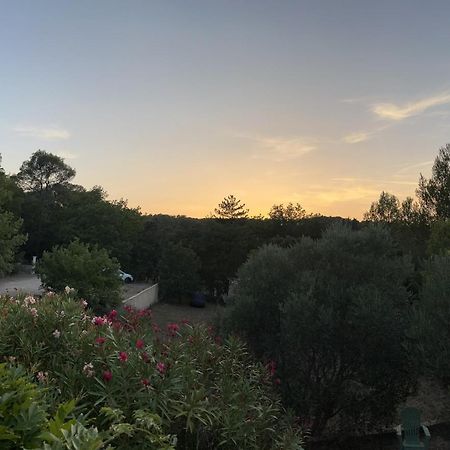 Natur & Jasmin Chambres D'Hotes Naturistes En Provence Lorgues Ngoại thất bức ảnh