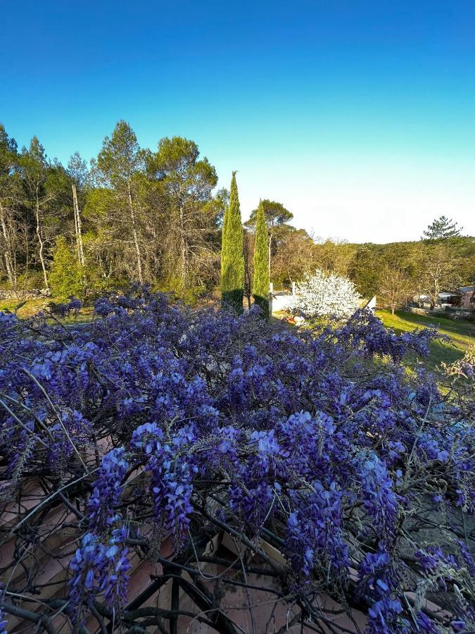 Natur & Jasmin Chambres D'Hotes Naturistes En Provence Lorgues Ngoại thất bức ảnh