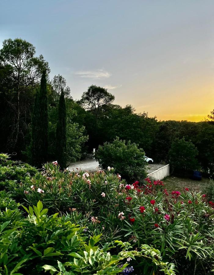 Natur & Jasmin Chambres D'Hotes Naturistes En Provence Lorgues Ngoại thất bức ảnh